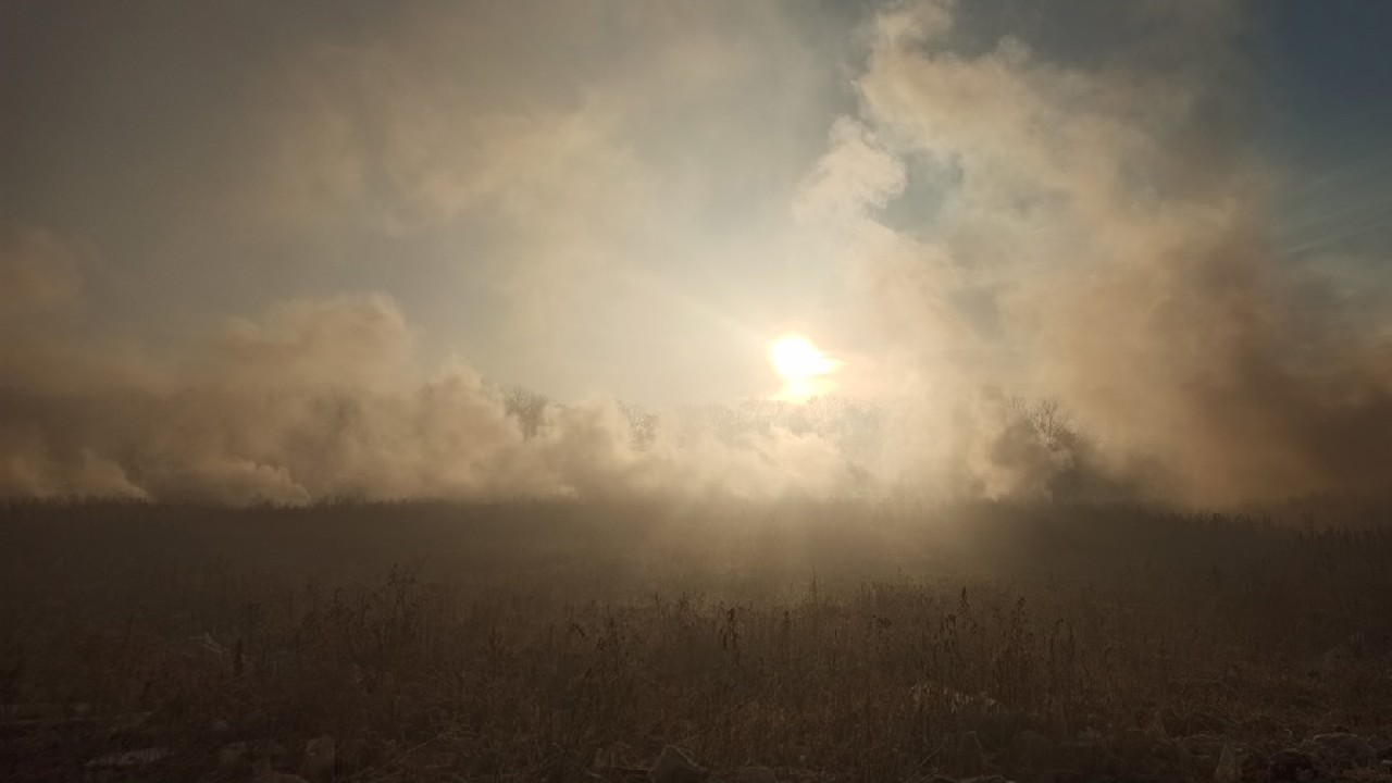 Із термінового засідання постійної депутатської комісії та інформація про стан якості повітря